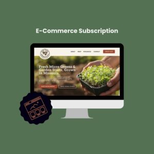 E-Commerce Website Subscription