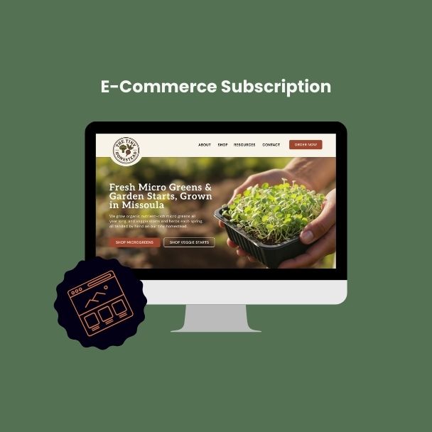 E-Commerce Website Subscription